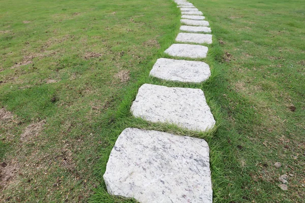 Foo caminho através de arbustos no jardim — Fotografia de Stock