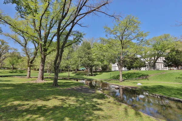 Campus of landscape at  hokkaido university japan