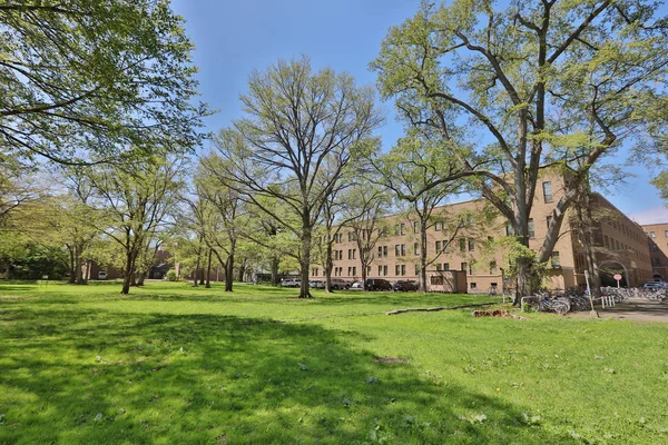 Campus van landschap op hokkaido Universiteit japan — Stockfoto