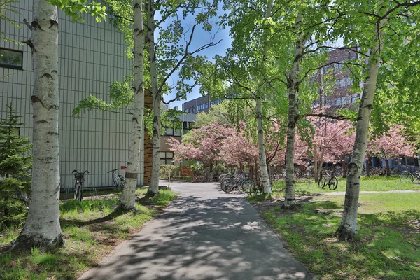 Campus college building of Hokkaido University