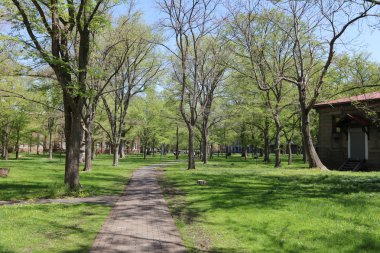 landsvape Japonya Hokkaido Üniversitesi