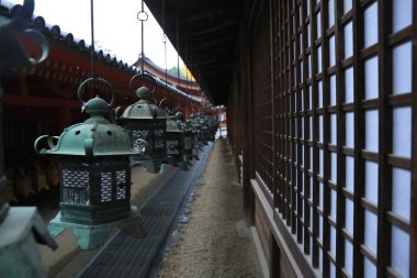 kasuga taisha içinde nara bronz fenerler