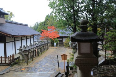 Kasuga Taisha: Nara, Japan 
