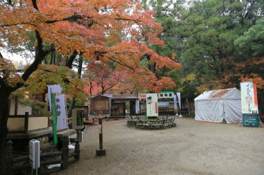 Kasuga Taisha: Nara, Japan 