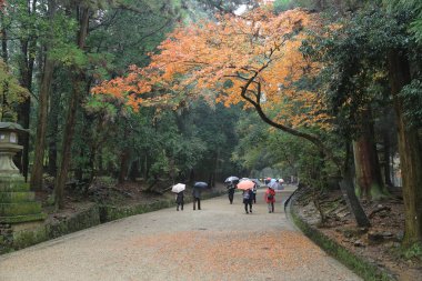 geçit Kasuga Taisha: Nara, Japan