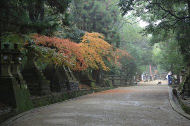 geçit Kasuga Taisha: Nara, Japan