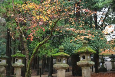 nara içinde taş fenerler