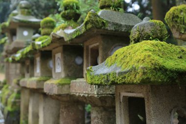 nara içinde taş fenerler