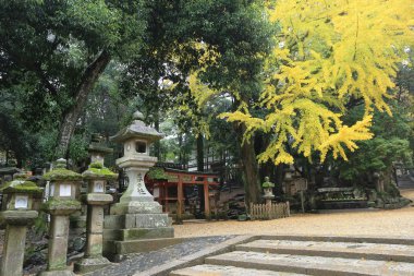 geçit Kasuga Taisha: Nara, Japan