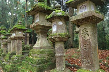 nara içinde taş fenerler