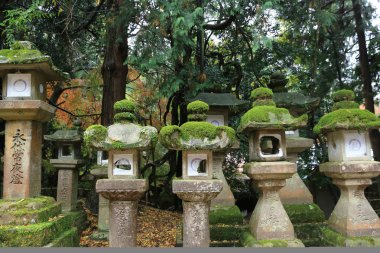 nara içinde taş fenerler