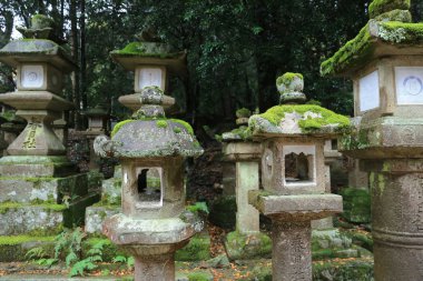 nara içinde taş fenerler