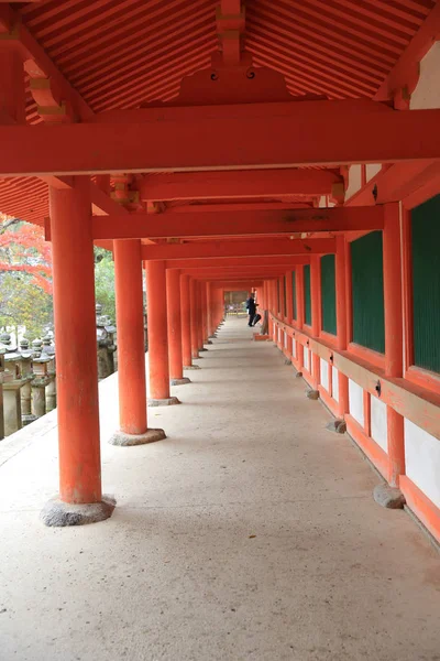 Kasuga taisha Tapınak, fener için ünlüdür