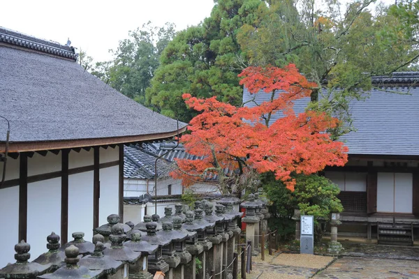 在奈良，日本春日泰山 — 图库照片