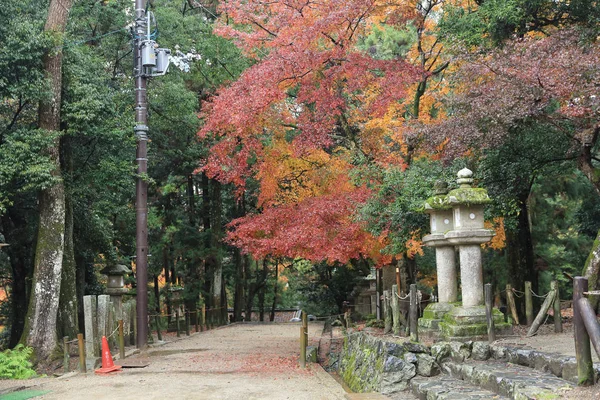 Kasuga Taisha: Nara, Japan 