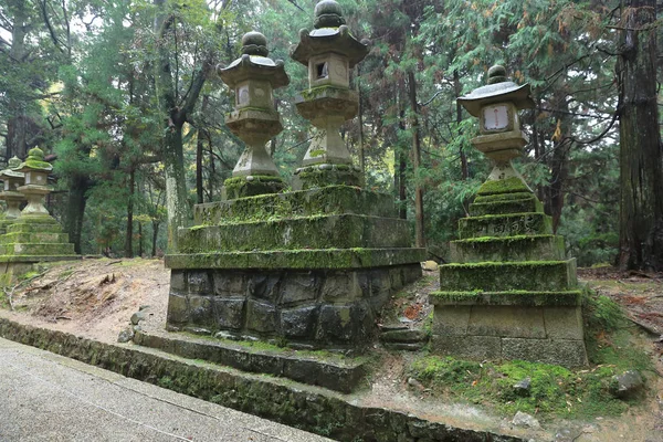 Кам'яні ліхтарі у Nara — стокове фото