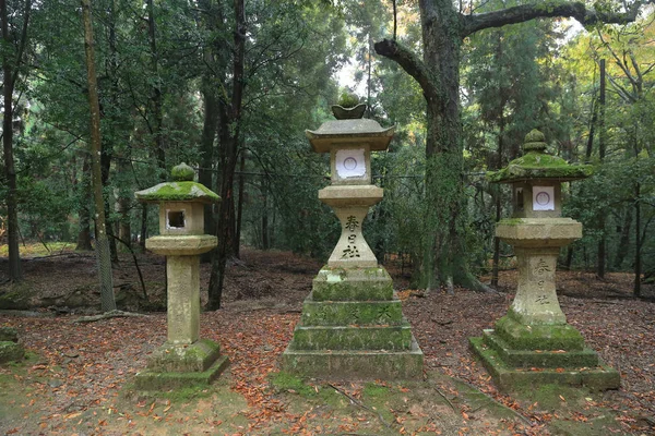 Stone lanterns in Nara — Stock Photo, Image
