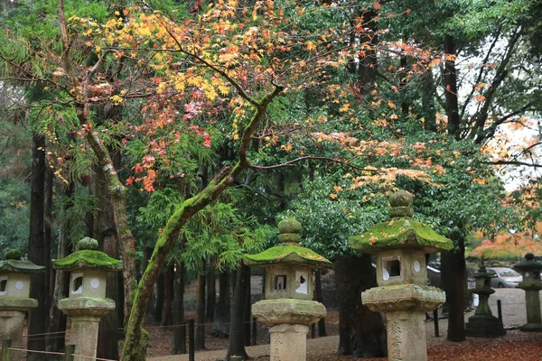 nara içinde taş fenerler