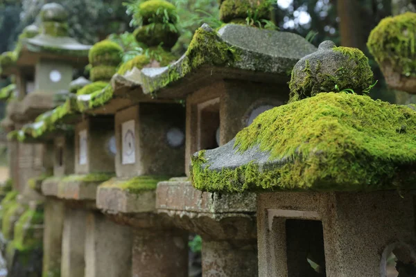 nara içinde taş fenerler