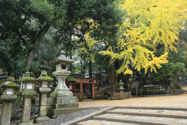 geçit Kasuga Taisha: Nara, Japan