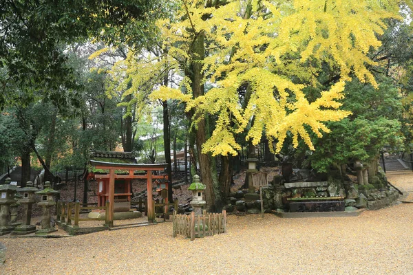 Kasuga Taisha - Nara