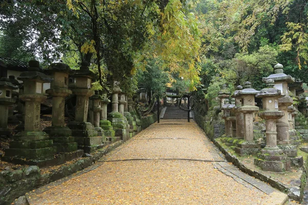 nara içinde taş fenerler