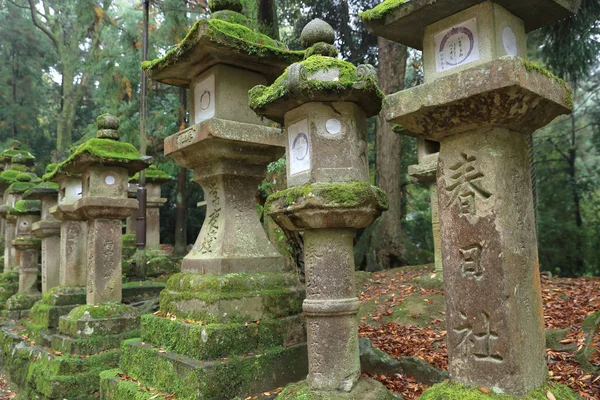 nara içinde taş fenerler