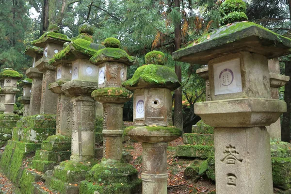 nara içinde taş fenerler