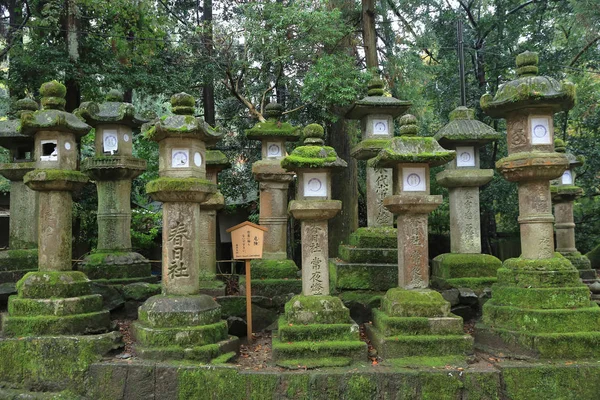 Lanterne in pietra a Nara — Foto Stock