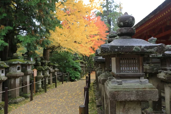 Kasuga Taisha a Nara — Foto Stock