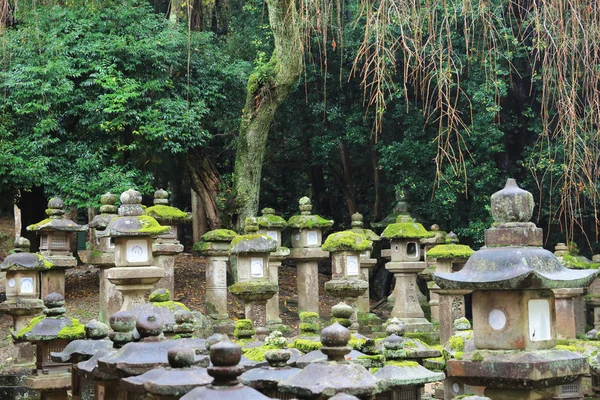 Linternas de piedra en Nara —  Fotos de Stock