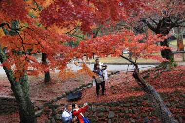 Nara Parkı: Nara, Japan