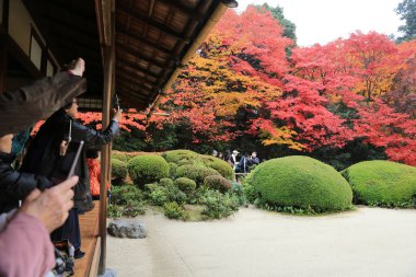 Turistler ve oturup gözlemlemek Shisen-do Bahçe sonbahar mevsimi