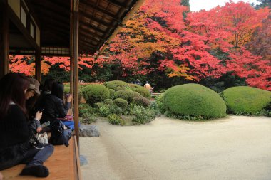 Turistler ve oturup gözlemlemek Shisen-do Bahçe sonbahar mevsimi
