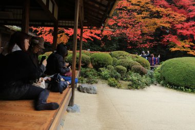 Turistler ve oturup gözlemlemek Shisen-do Bahçe sonbahar mevsimi