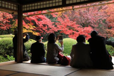 Turistler ve oturup gözlemlemek Shisen-do Bahçe sonbahar mevsimi