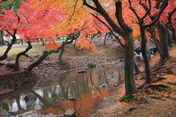 Nara Park in Nara, Japan — Stockfoto