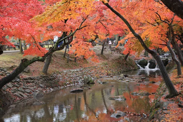 Parque Nara em Nara, Japão — Fotografia de Stock