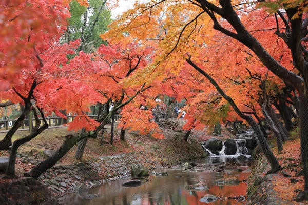 Parque Nara em Nara, Japão — Fotografia de Stock