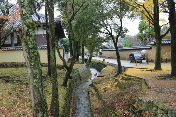 秋天叶在奈良奈良公园 — 图库照片
