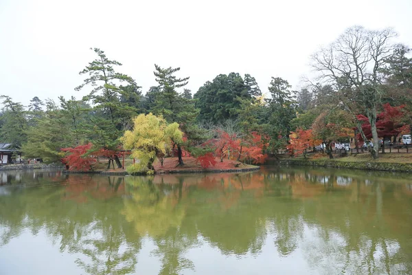 奈良公園奈良でラーベス秋 — ストック写真