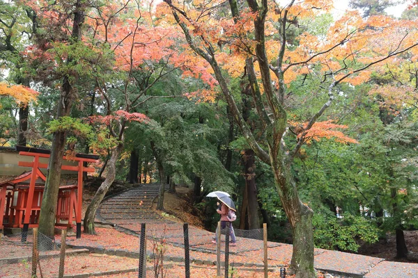 Nara Parkı Japon lambaları