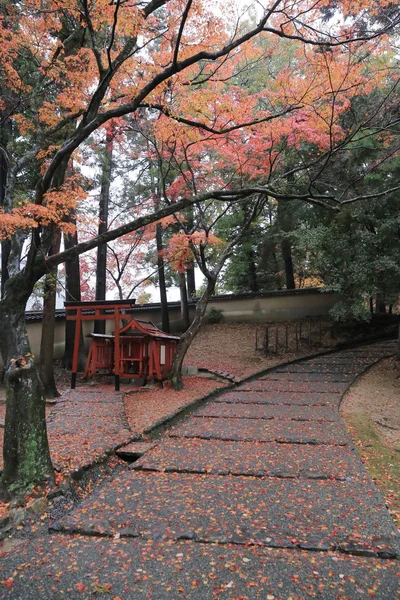 Kamenné schodiště cestou až na podzim, barevné stromy — Stock fotografie