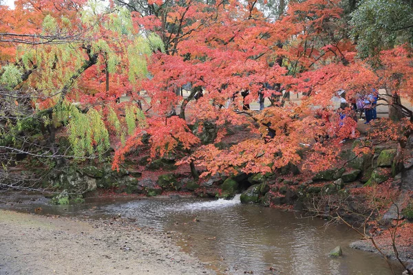 Otoño Laves en el Parque Nara en Nara — Foto de Stock