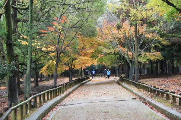 Nara Parkı Japon lambaları — Stok fotoğraf