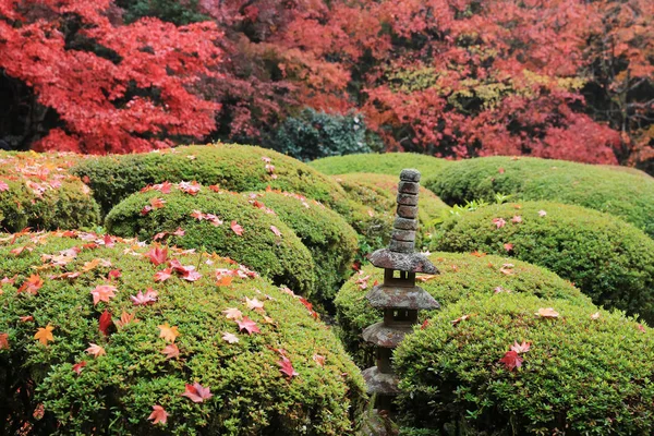 Shisen-do tuin — Stockfoto