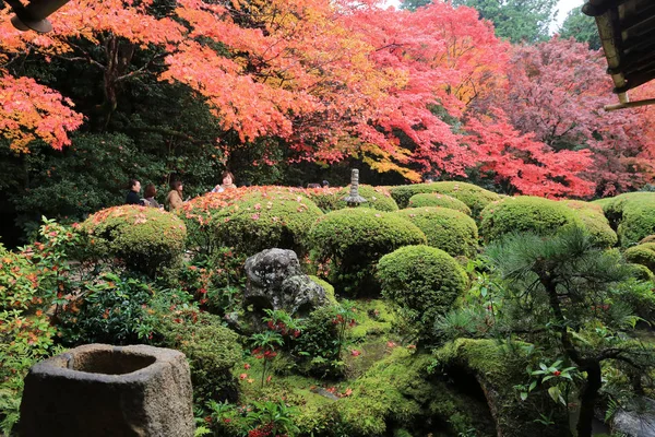 Jardín de Shisen-do — Foto de Stock
