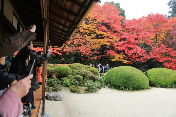 Turistler ve oturup gözlemlemek Shisen-do Bahçe sonbahar mevsimi