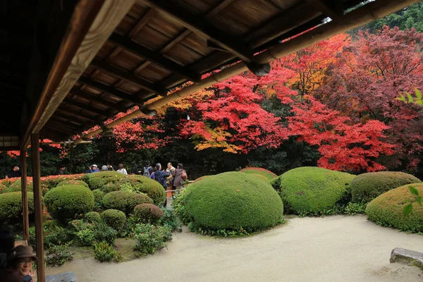 Turistler ve oturup gözlemlemek Shisen-do Bahçe sonbahar mevsimi