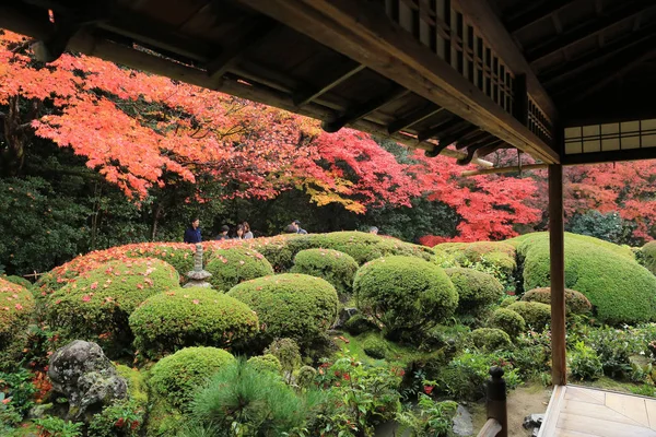 Shisen-Do, Kyoto, Japonya — Stok fotoğraf